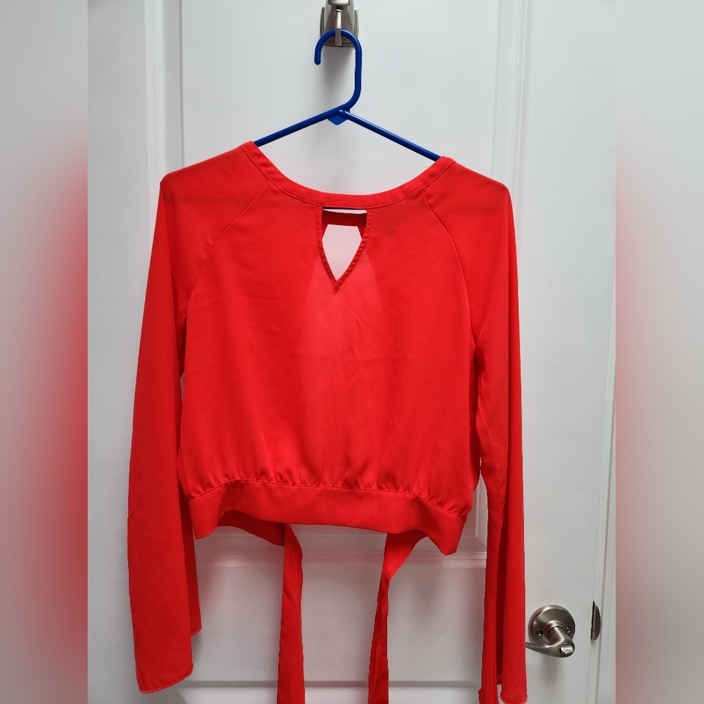 EXPRESS Long Sleeve Crop Top